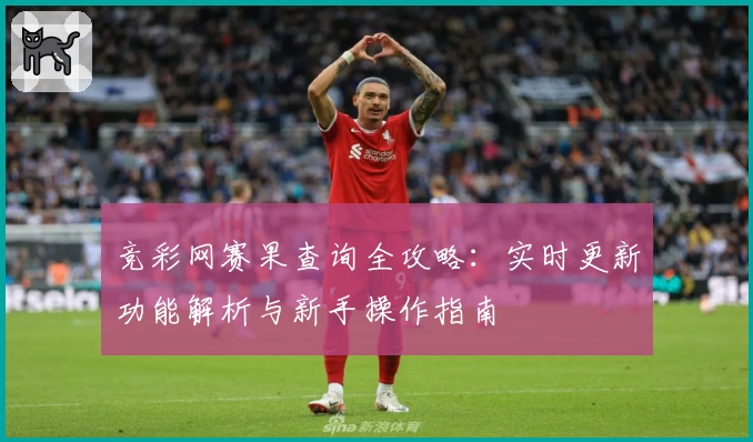 竞彩网赛果查询全攻略：实时更新功能解析与新手操作指南
