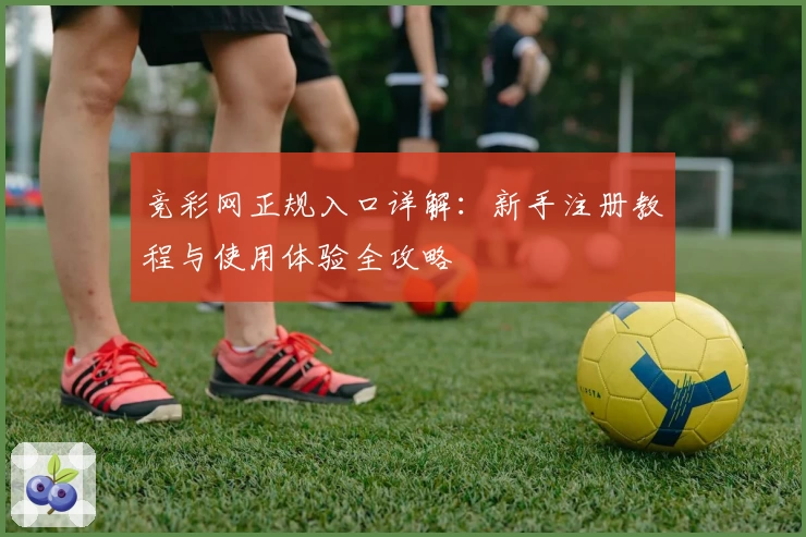 竞彩网正规入口详解：新手注册教程与使用体验全攻略