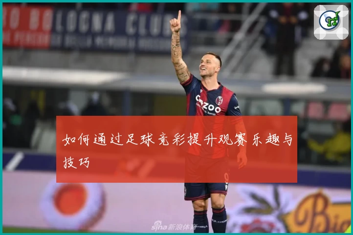 如何通过足球竞彩提升观赛乐趣与技巧