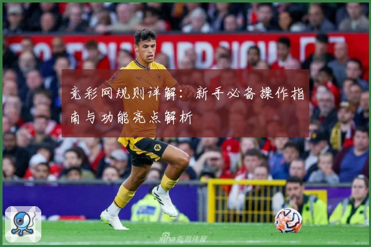 竞彩网规则详解：新手必备操作指南与功能亮点解析